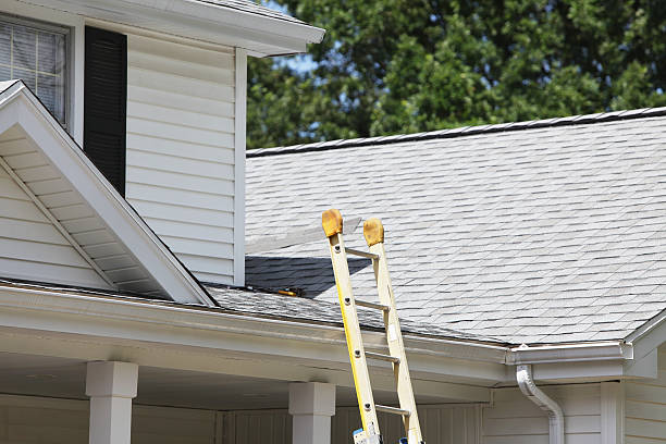 Best Historical Building Siding Restoration  in Norco, CA