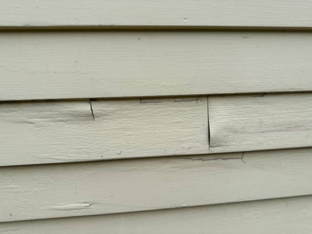Best Stone Veneer Siding  in Norco, CA